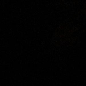 Meet your Posher, Dina